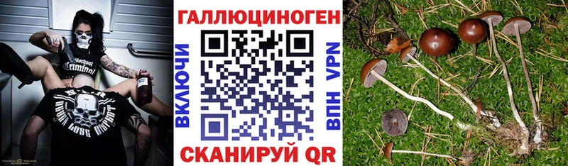 Псилоцибиновые грибы Magic Shrooms  Вельск 