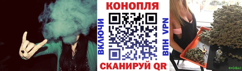 закладка Вельск Канабис ГИДРОПОН